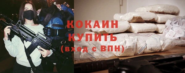 ешки Дмитриев