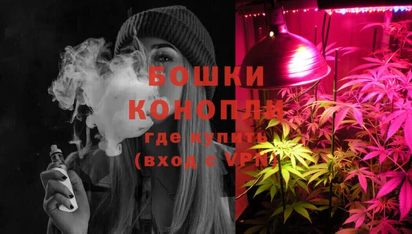 ешки Дмитриев