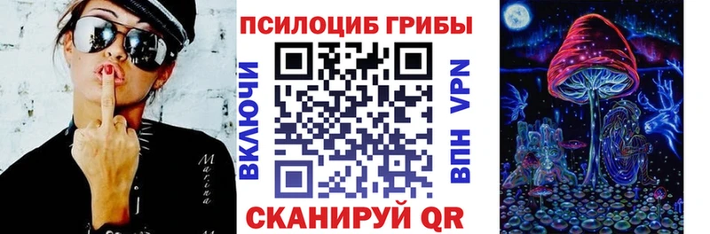 omg маркетплейс как найти наркотики Кимовск Псилоцибиновые грибы Psilocybine cubensis