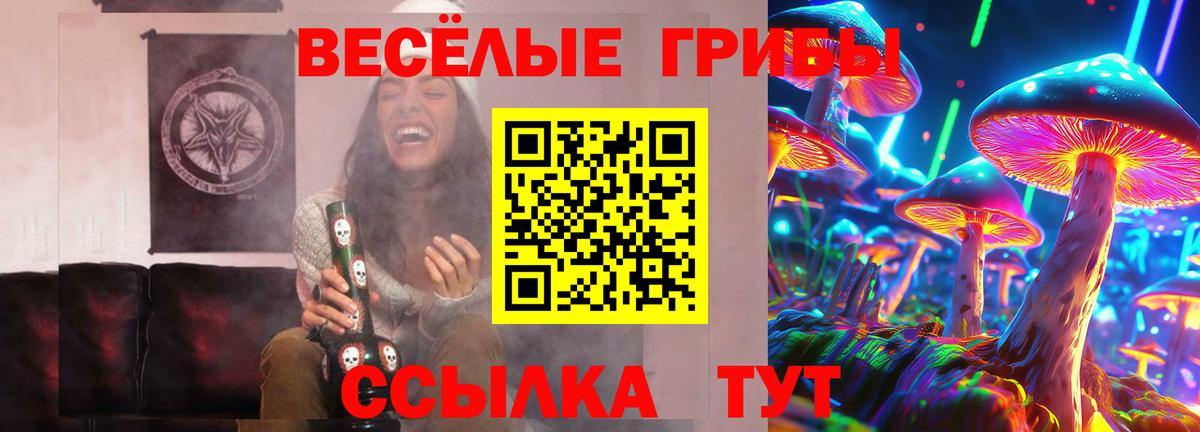 Псилоцибиновые грибы мухоморы  Вход с VPN  Кимовск 