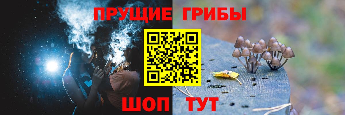 Псилоцибиновые грибы прущие грибы Кимовск